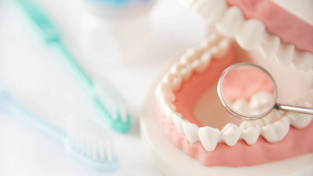 虫歯や歯周病を予防しながら 健康的に歯科矯正