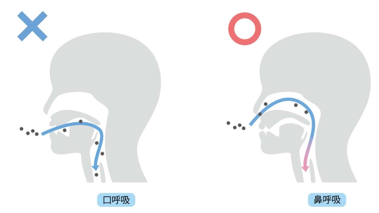 口呼吸の悪影響